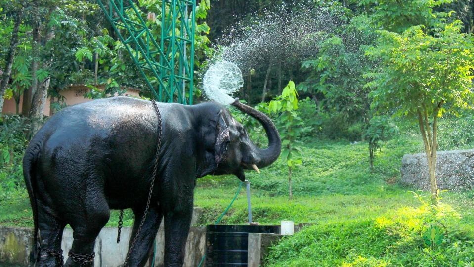 Villa Swasthi Griha Aranmula Esterno foto